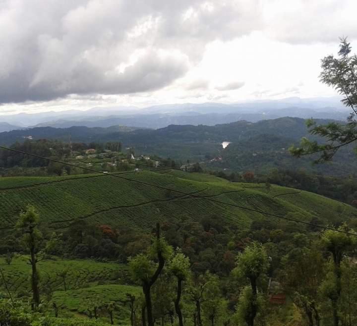 Munnar Lush Greens Extérieur photo