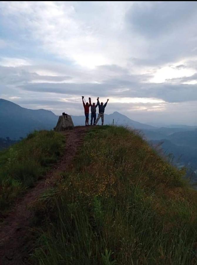 Munnar Lush Greens Extérieur photo