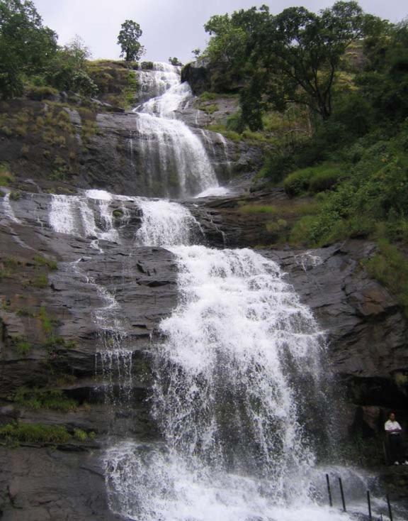 Munnar Lush Greens Extérieur photo